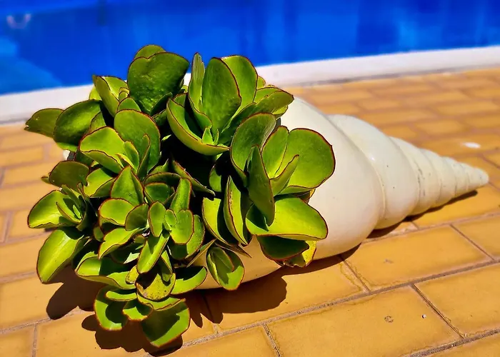 Flh Vilamoura Summer Apartment With Pool